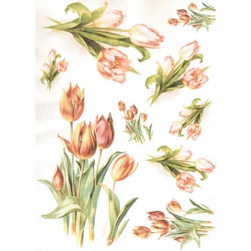 Rizspapír-tulipánok
